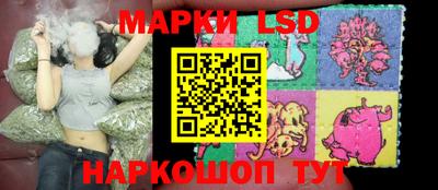 ECSTASY Новодвинск