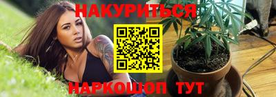 ECSTASY Новодвинск