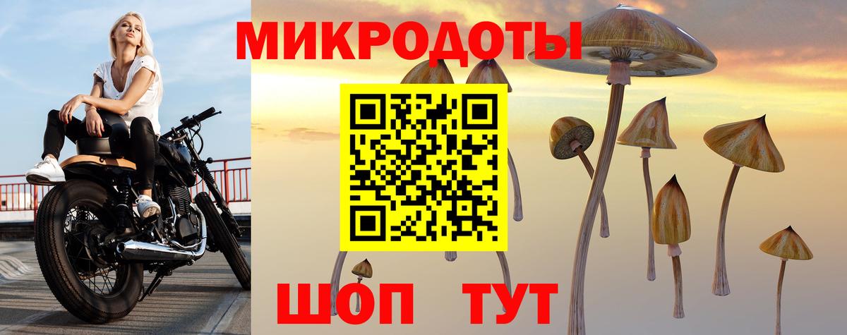 Галлюциногенные грибы Psilocybe  Вход с VPN  Пыть-Ях 